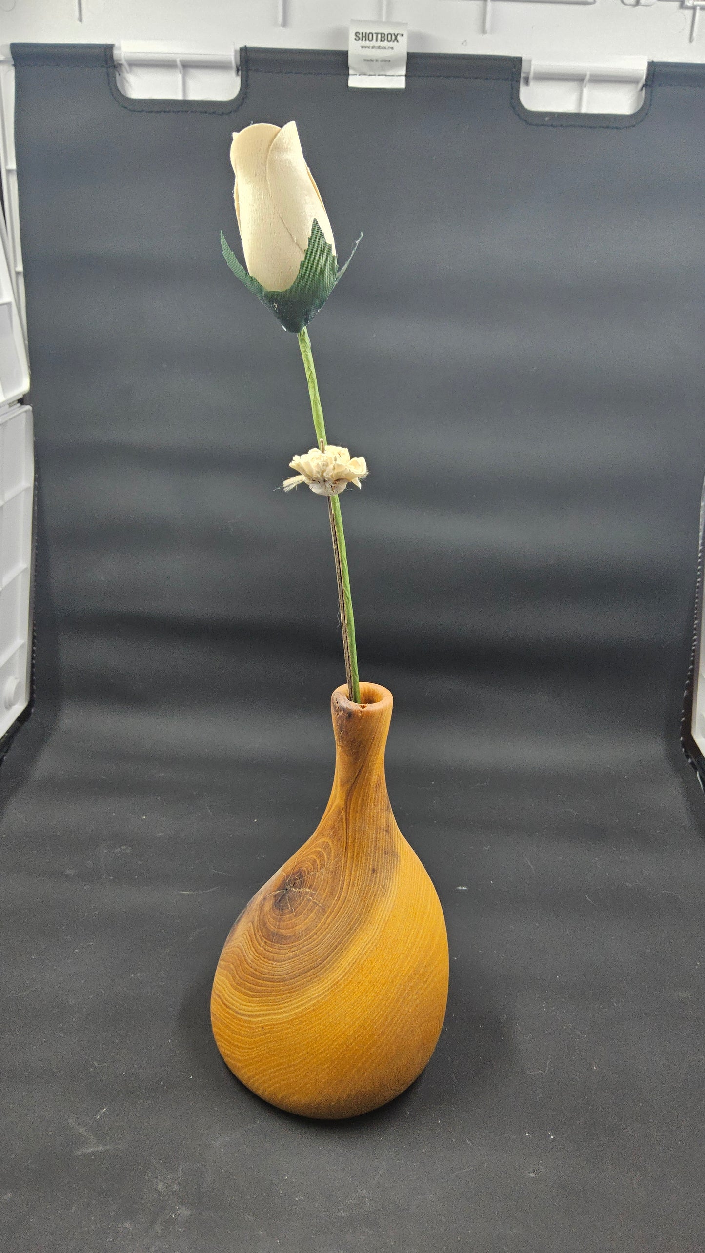 Eccentric Turned Dry Twig Vase
