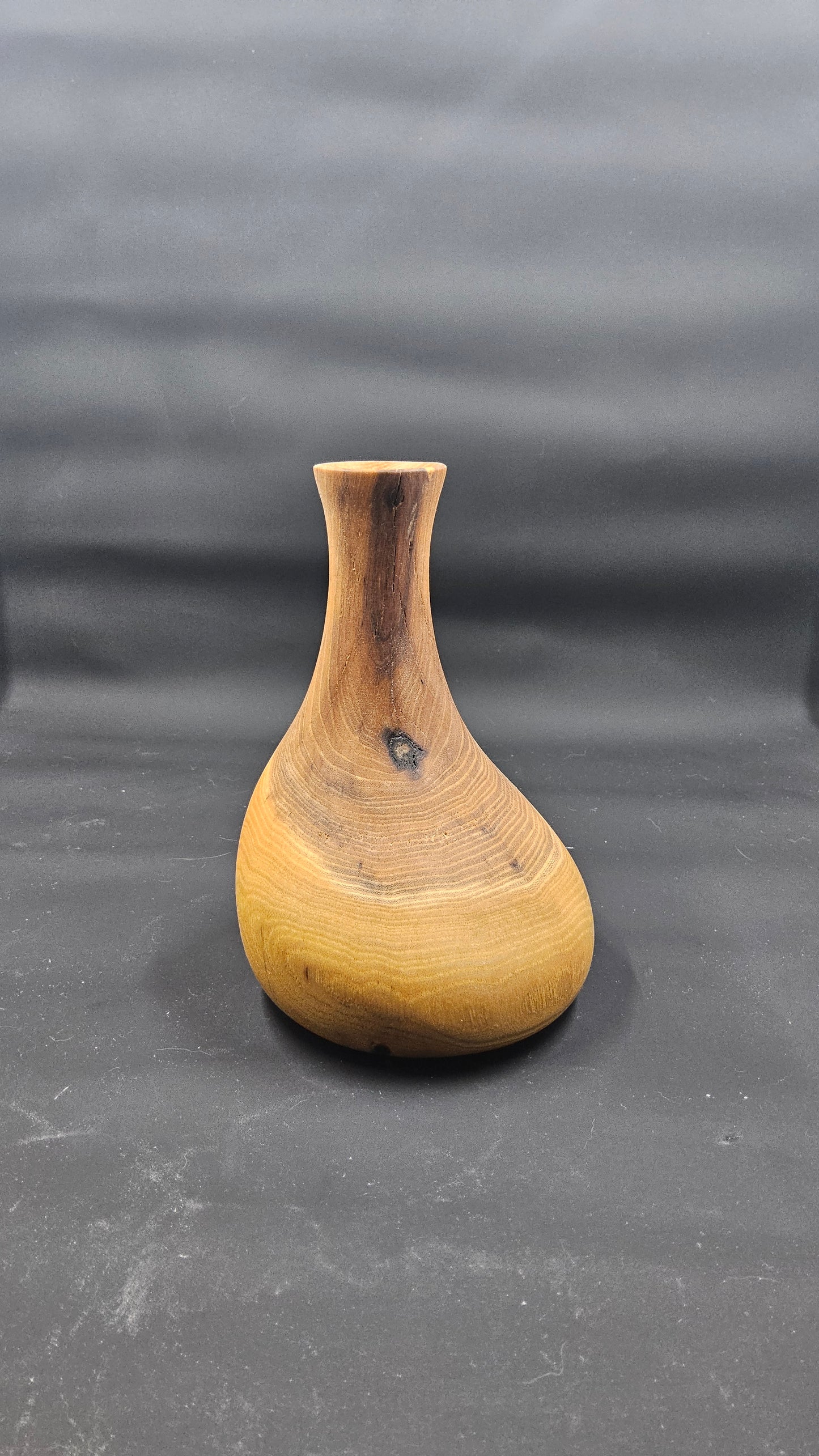 Eccentric Turned Dry Twig Vase