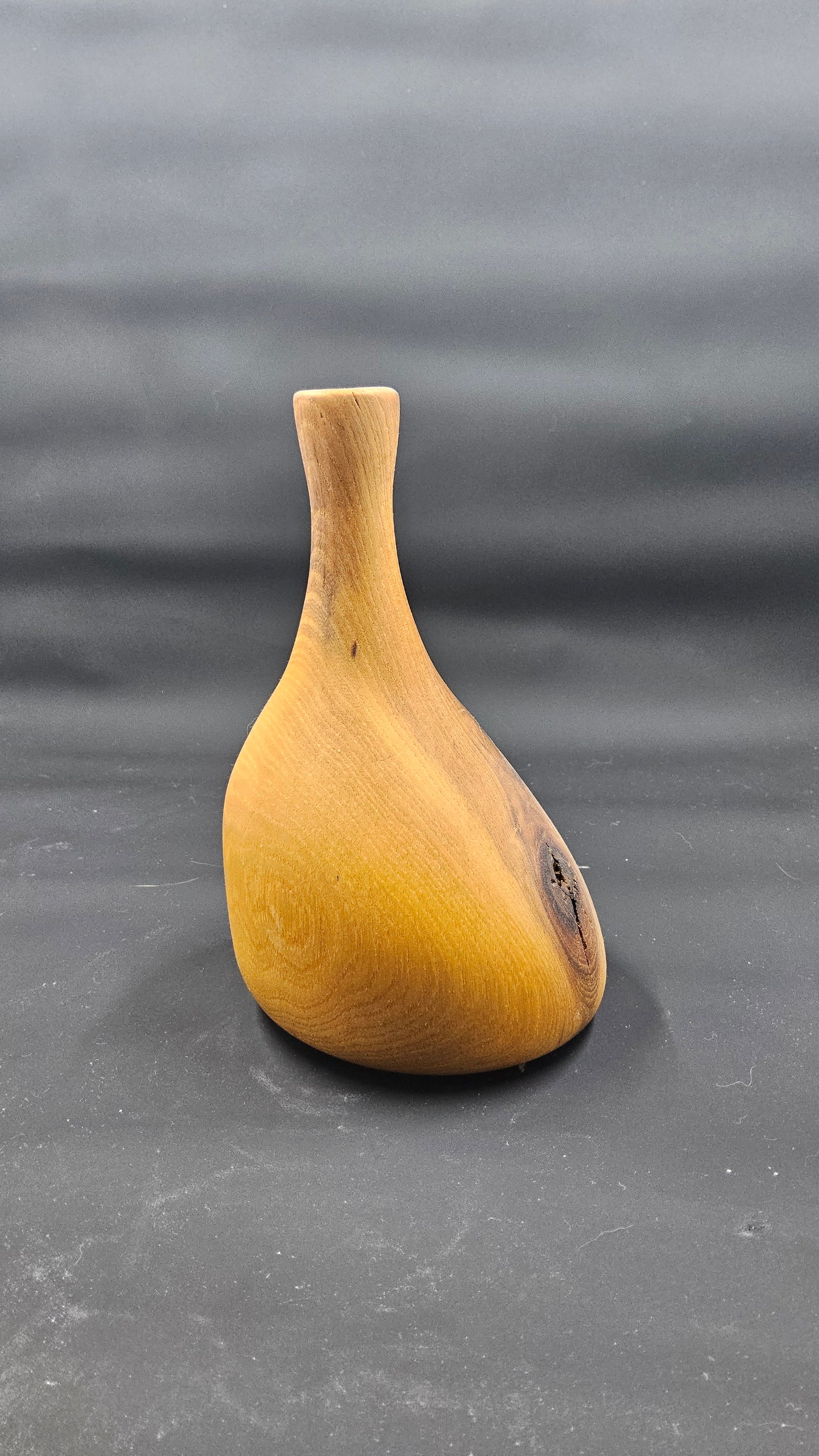 Eccentric Turned Dry Twig Vase