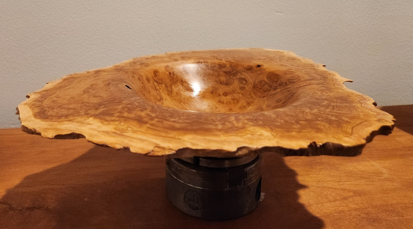 Australian Brown Malee Burl Winged Bowl