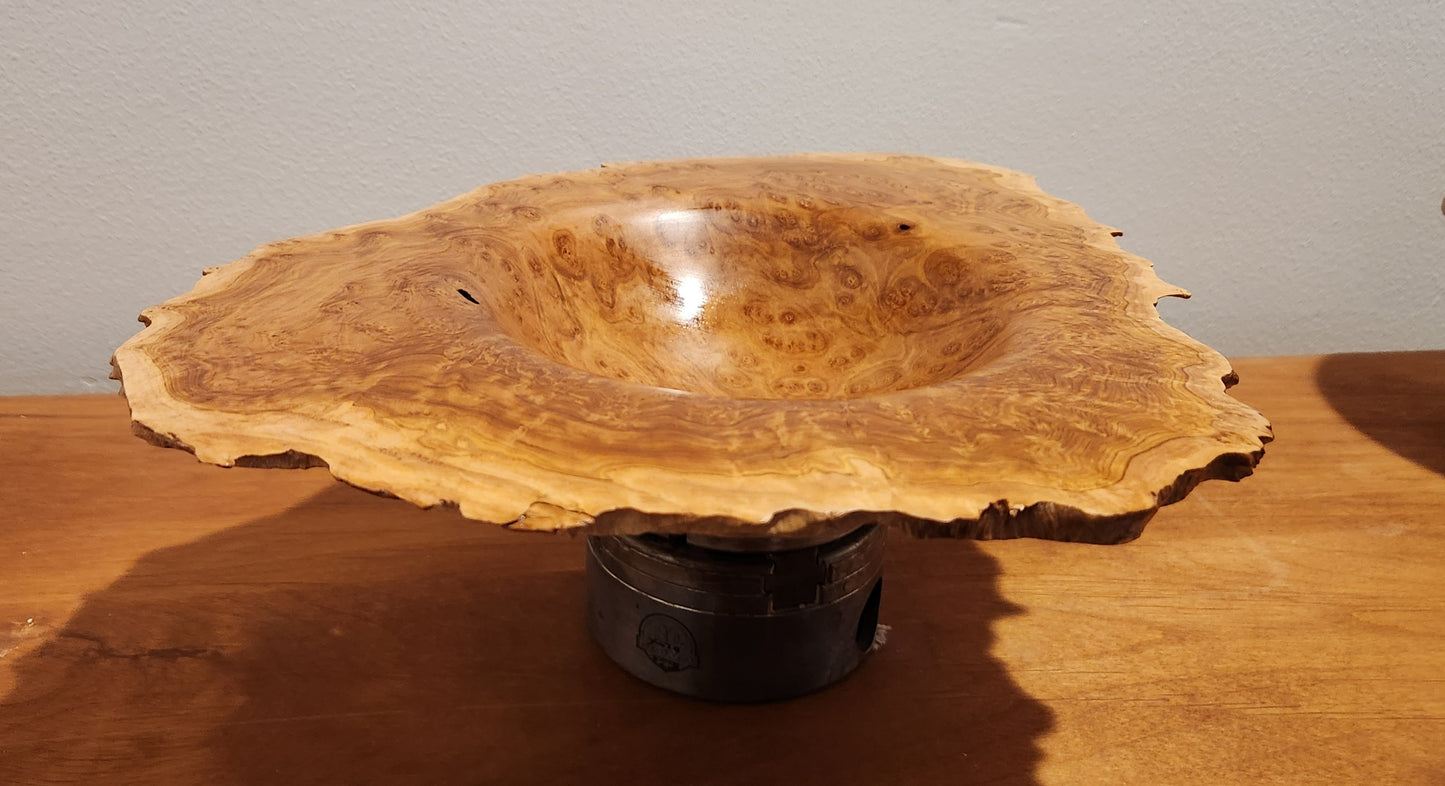 Australian Brown Malee Burl Winged Bowl
